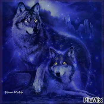 Blue Wolves - GIF animado gratis