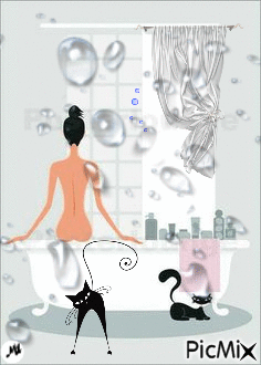 Dos gatos negros y un baño - Kostenlose animierte GIFs