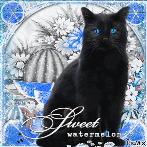 Black Cat and Fruits - Gratis geanimeerde GIF