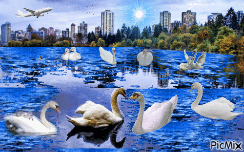 Lago - Darmowy animowany GIF