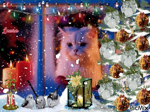Christmas gatto cat - Laura - Gratis geanimeerde GIF