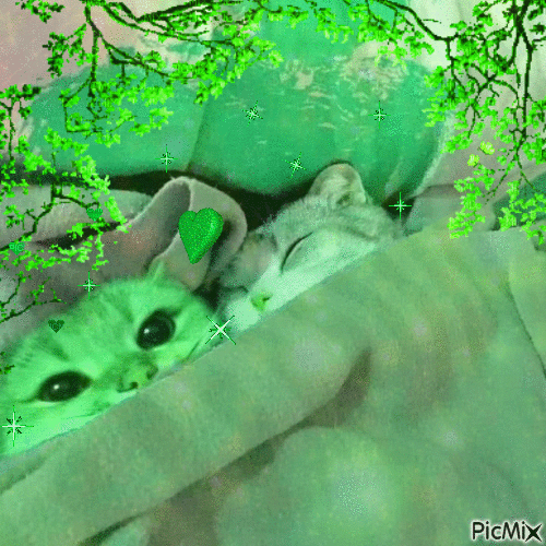 green cat