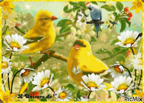 oiseaux jaunes - GIF animado gratis