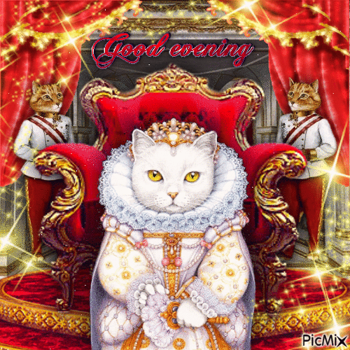 Good Evening Elizabeth I the Cat - Бесплатный анимированный гифка