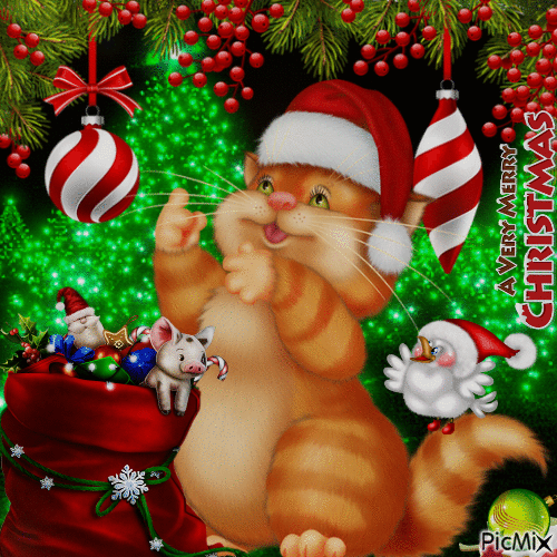 christmas cat - Бесплатный анимированный гифка