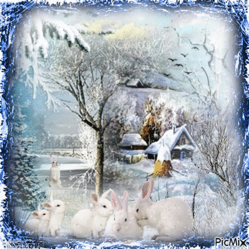 Weiße Hasen im Schnee - Zdarma animovaný GIF