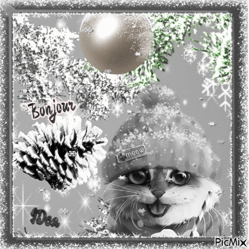 Bonjour  les chatons - Darmowy animowany GIF