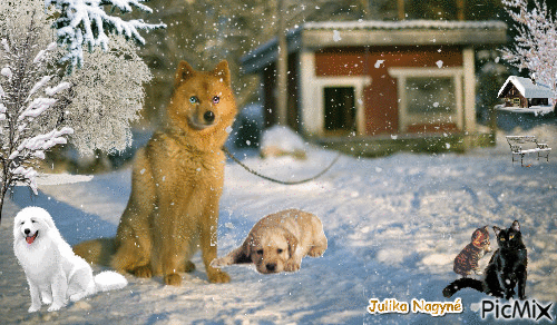 Pets are falling snow! - GIF animé gratuit