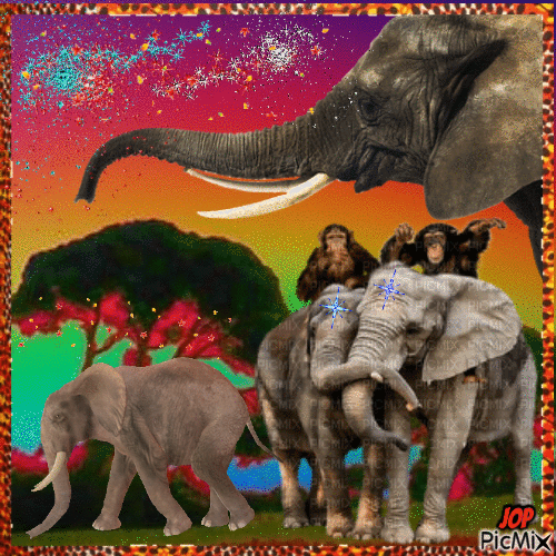 Éléphants - Gratis geanimeerde GIF