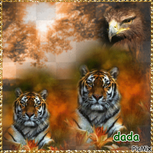le tigre - Zdarma animovaný GIF