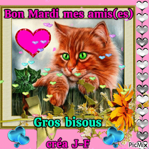 bon mardi mes amis(es) - Δωρεάν κινούμενο GIF