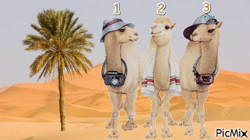 "Hump" Day - Free PNG