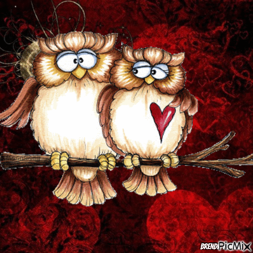valentine owl - GIF animasi gratis