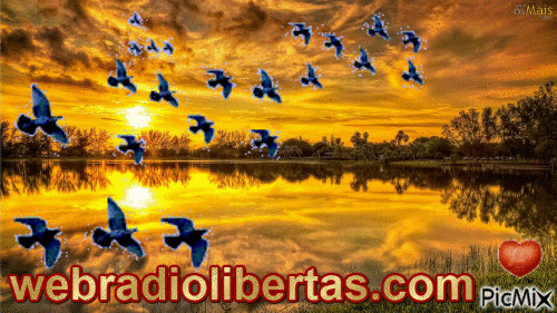 http://webradiolibertas.com/ - 無料のアニメーション GIF