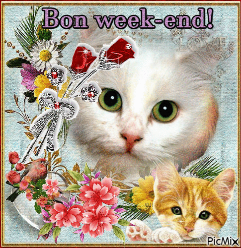 Bon week-end! - Безплатен анимиран GIF
