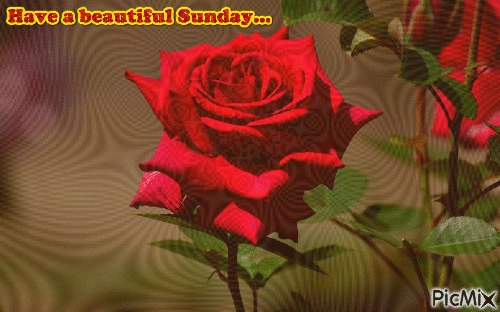 Have a beautiful Sunday - 免费动画 GIF