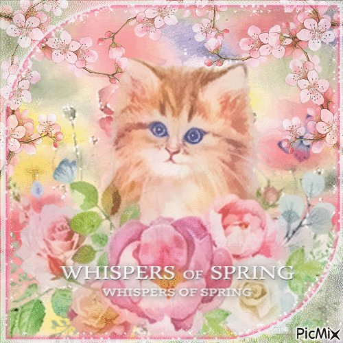 Spring cat flowers - Darmowy animowany GIF
