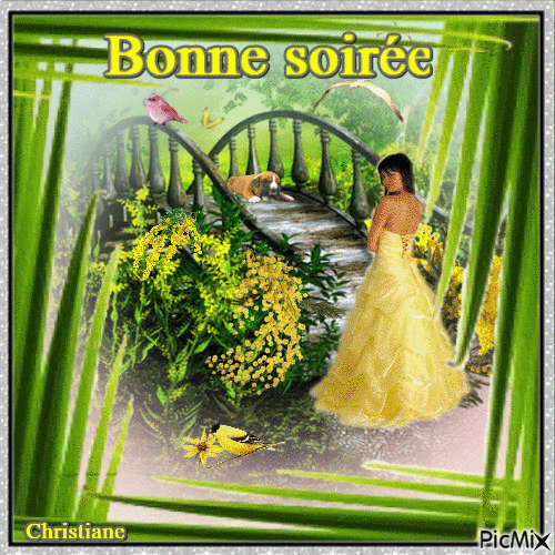 BONNE SOIREE 13 12 - Безплатен анимиран GIF