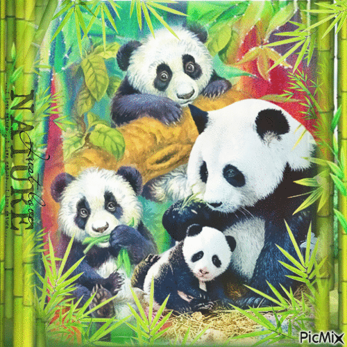 Panda - Ilmainen animoitu GIF