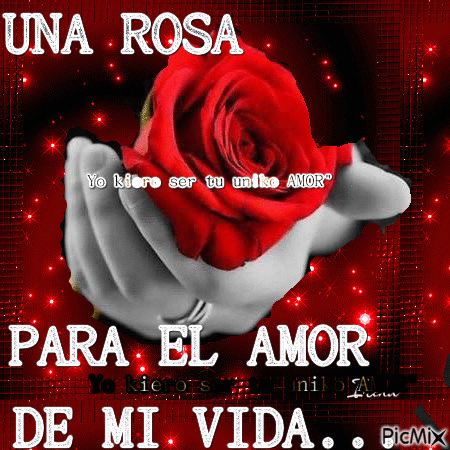 Amor con una rosa Una rosa