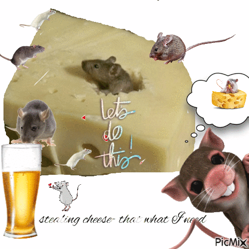 rats - Gratis animeret GIF