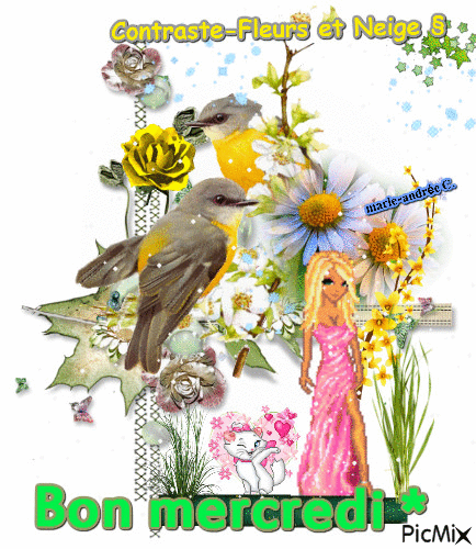 Oiseaux,Fleurs,Contraste avec Neige § Bon Mercredi - GIF animé gratuit