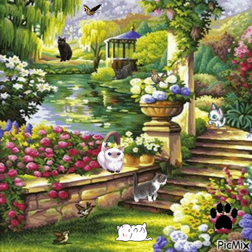 jardin à chats - GIF animé gratuit