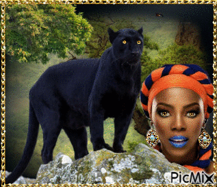 Panther - Free animated GIF