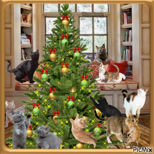 Les chats et Noël. - Free animated GIF