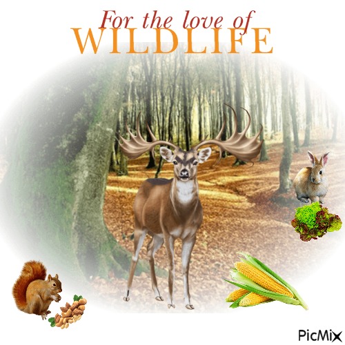 For The Love Of Wildlife - png gratis