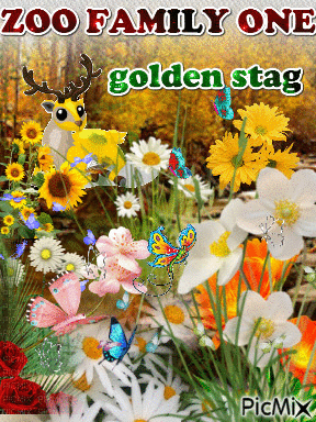 golden stag - 無料のアニメーション GIF