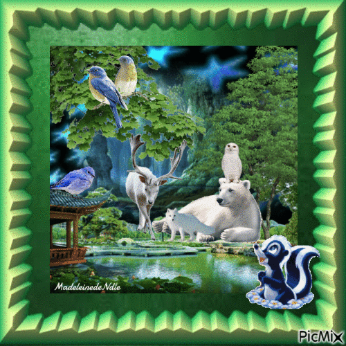 belle nature animale - Free animated GIF