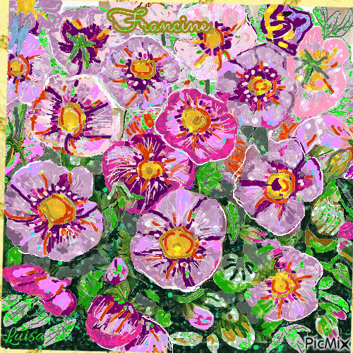 Pansies pour mon amie Francine - Free animated GIF