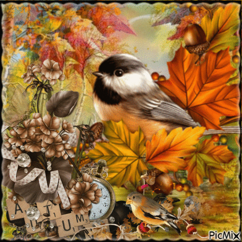 Concours : Les oiseaux en automne - GIF เคลื่อนไหวฟรี