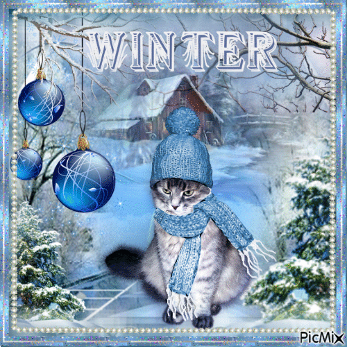 Winter Cat - GIF animate gratis