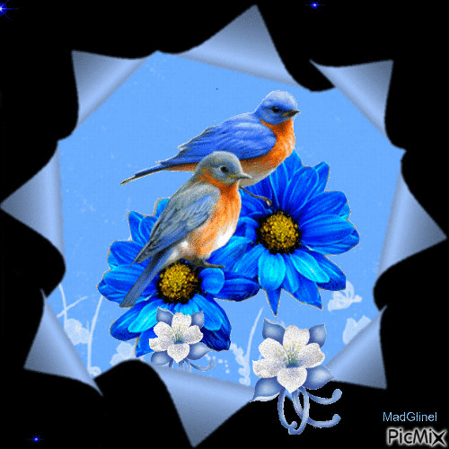 les oiseaux bleus - Бесплатный анимированный гифка