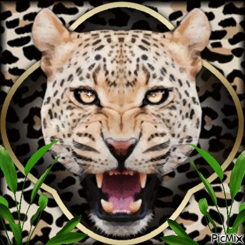 LEOPARD - Free animated GIF