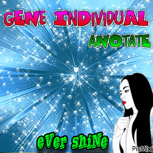ever shine anotate - Безплатен анимиран GIF
