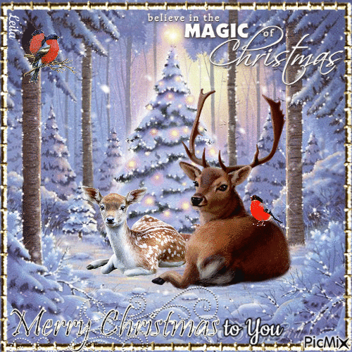 Belive in the Magic of Christmas. Merry Christmas to you - GIF animado gratis