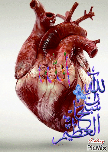 Islamic - Bezmaksas animēts GIF