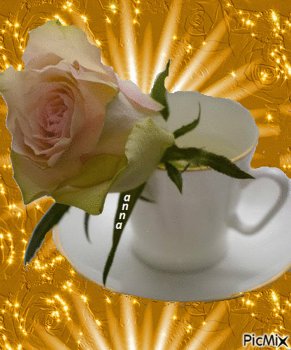 Rose morning - Безплатен анимиран GIF