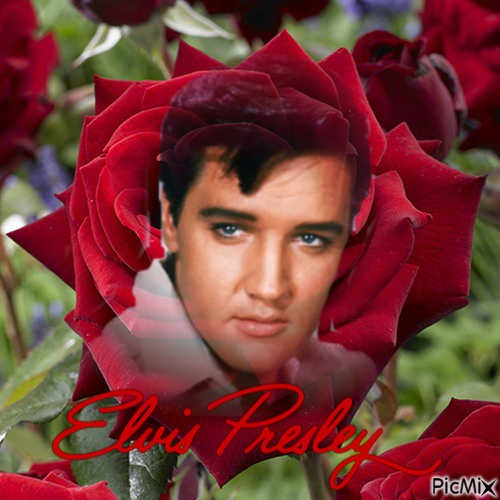 Elvis my rose - png gratis