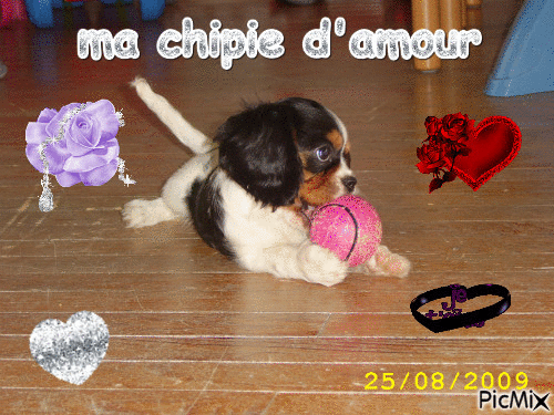 ma chipie d'amour - Безплатен анимиран GIF