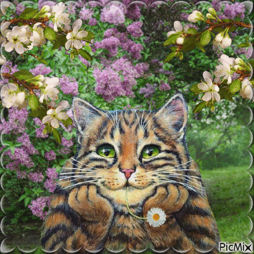 Весенний котик. - Безплатен анимиран GIF