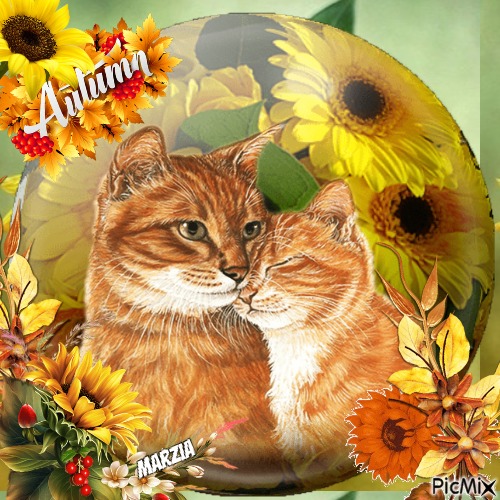 marzia - gatti in autunno - δωρεάν png