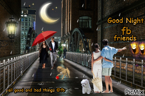 good night fb friends woman rain people dogs - Gratis geanimeerde GIF