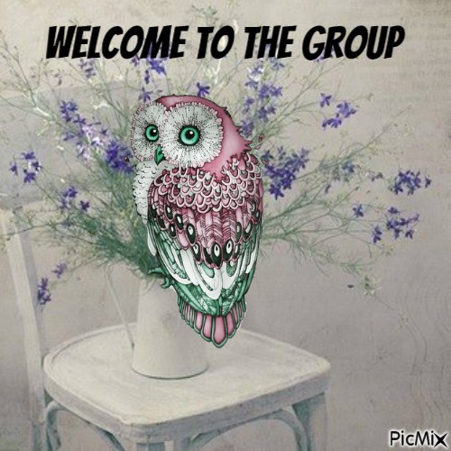 welcome owl - bezmaksas png