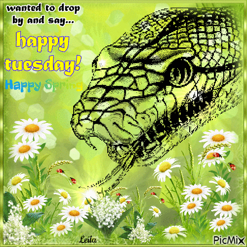 Happy tuesday, happy spring.... snake - Бесплатни анимирани ГИФ