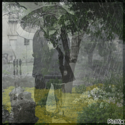 couple casal na chuva - Δωρεάν κινούμενο GIF