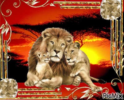 lion - zadarmo png
